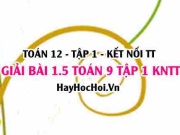 Bài 1.5 Toán 12 tập 1 SGK Kết nối tri thức